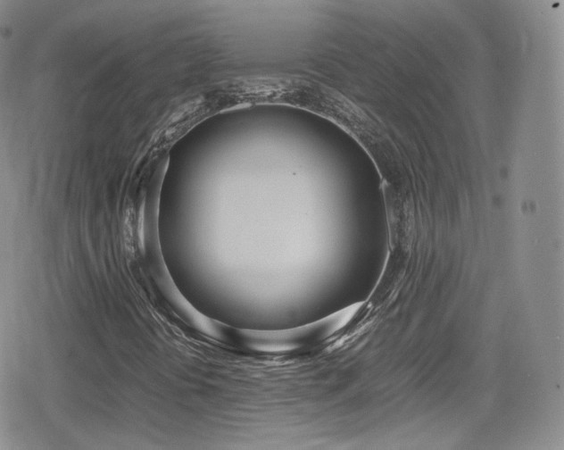X0000080171394200612081348
