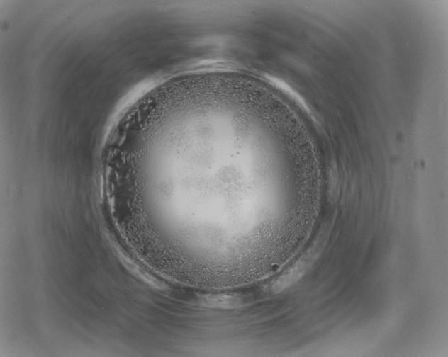 X0000080171413200612081349