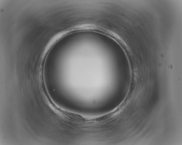 X0000080171421200612081349