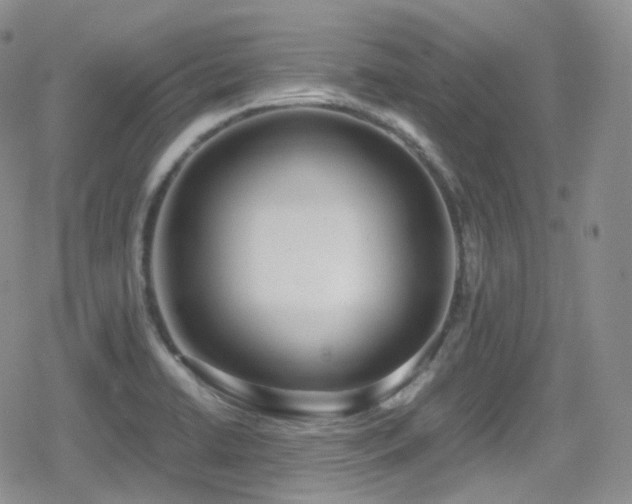 X0000080171422200612081349