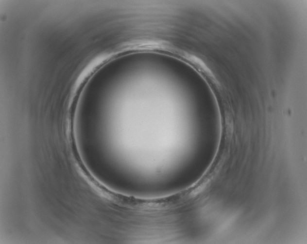 X0000080171424200612081349