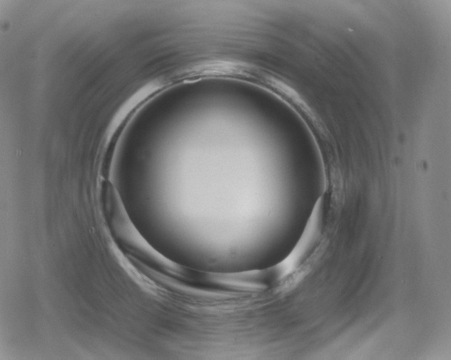 X0000080171426200612081349
