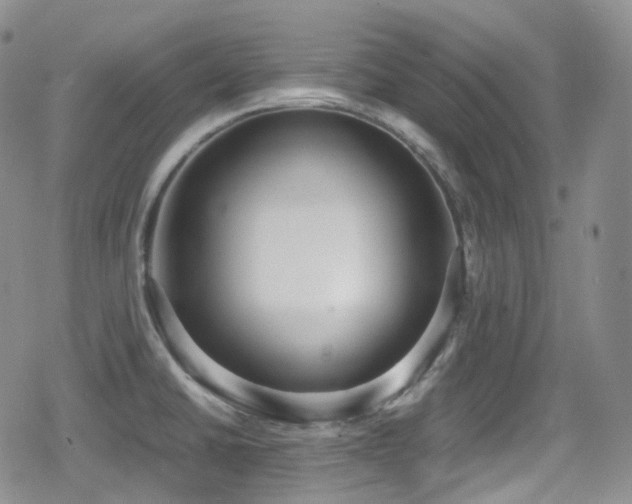 X0000080171430200612081349