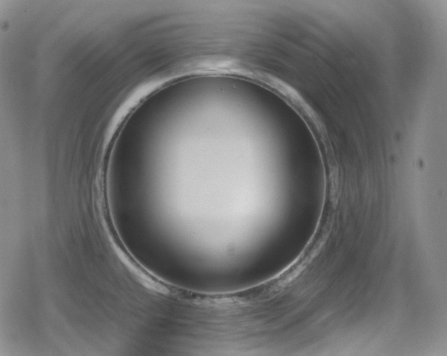 X0000080171432200612081349