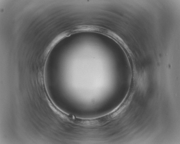 X0000080171433200612081349