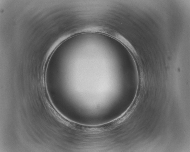 X0000080171436200612081349