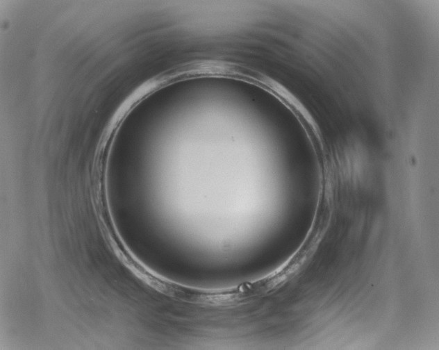 X0000080171437200612081349