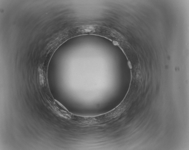 X0000080171442200612081348