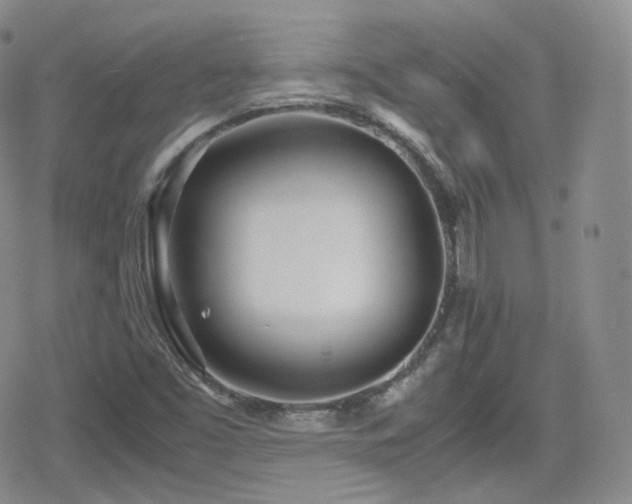 X0000080171453200612081348