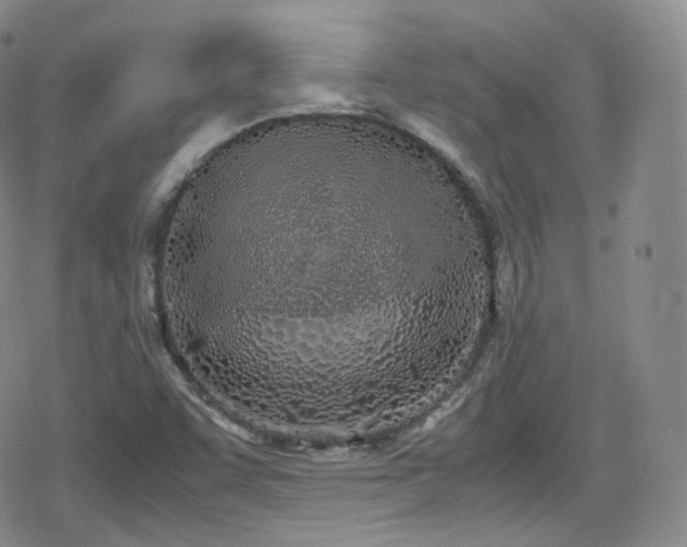 X0000080171455200612081348