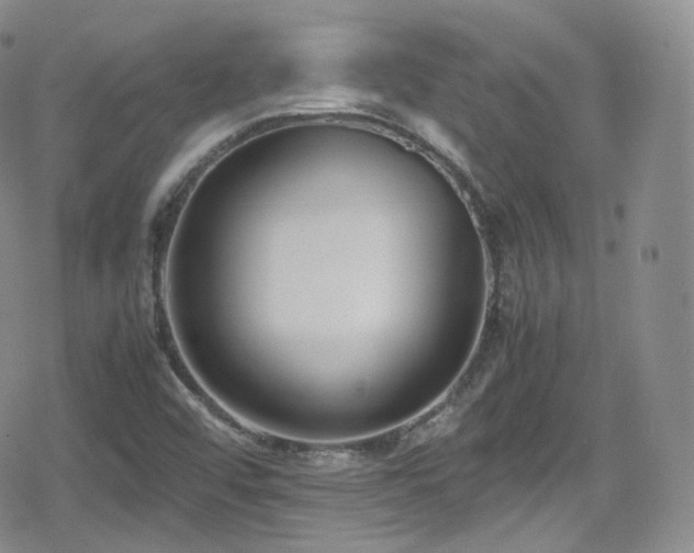 X0000080171456200612081348