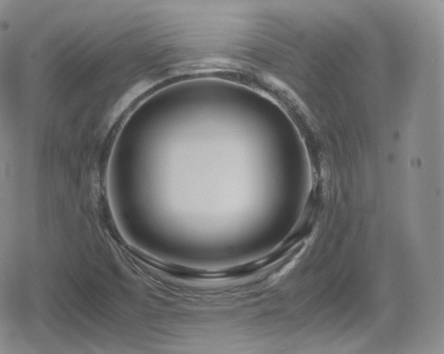 X0000080171457200612081348