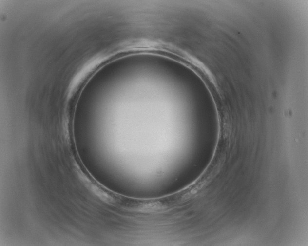 X0000080171464200612081348