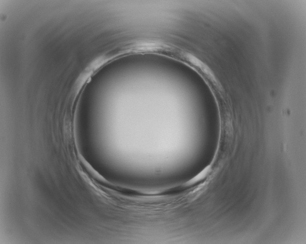 X0000080171473200612081348