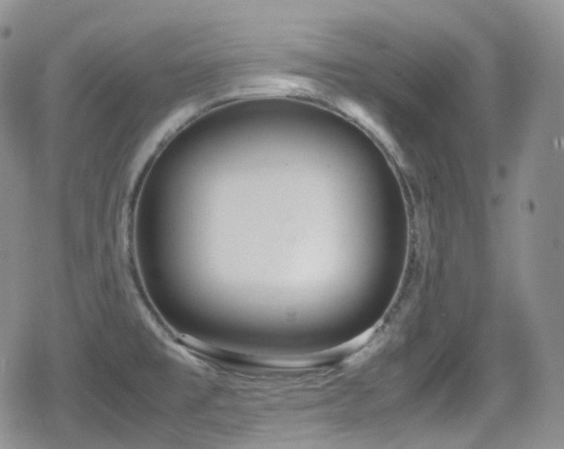 X0000080171477200612081348