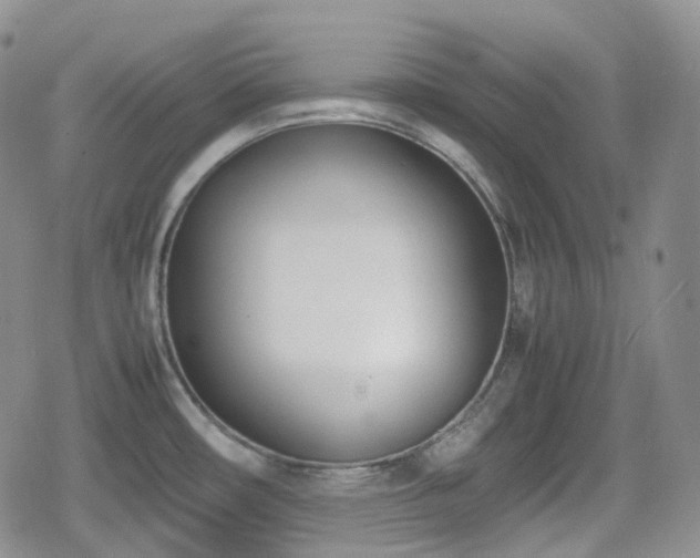 X0000080171482200612081348