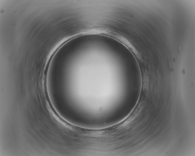 X0000080171484200612081348