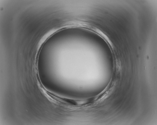 X0000080171485200612081348