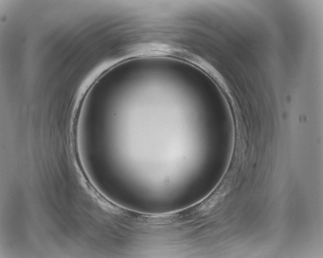 X0000080171488200612081348