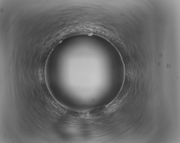 X0000080171490200612081347