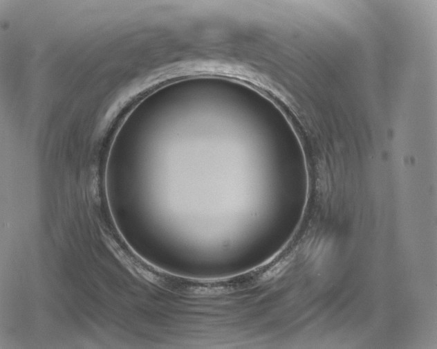 X0000080171499200612081347