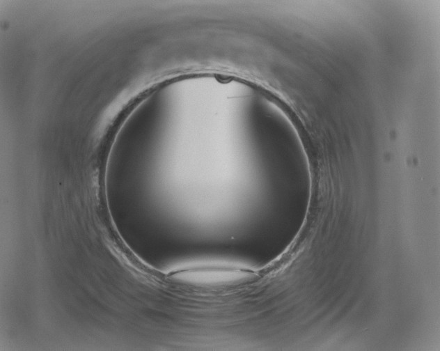 X0000080171503200612081347