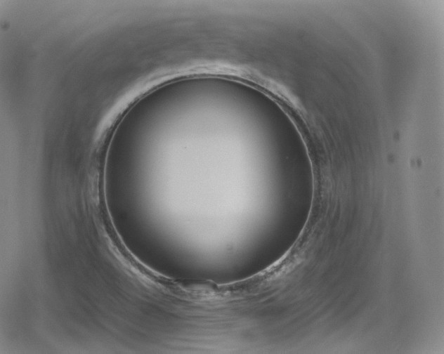 X0000080171504200612081347