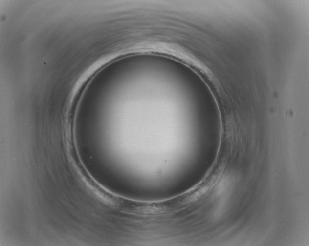 X0000080171517200612081347