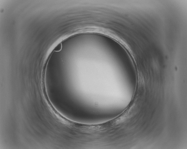 X0000080171533200612081348
