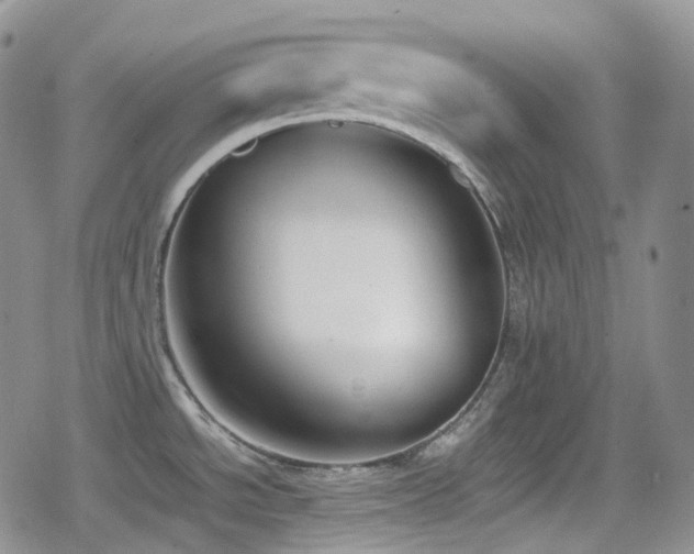 X0000080171534200612081348