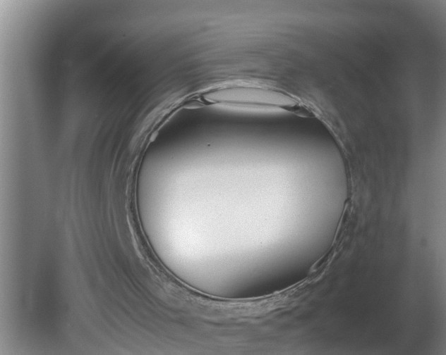 X0000080170001200612151934