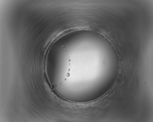 X0000080170002200612151934