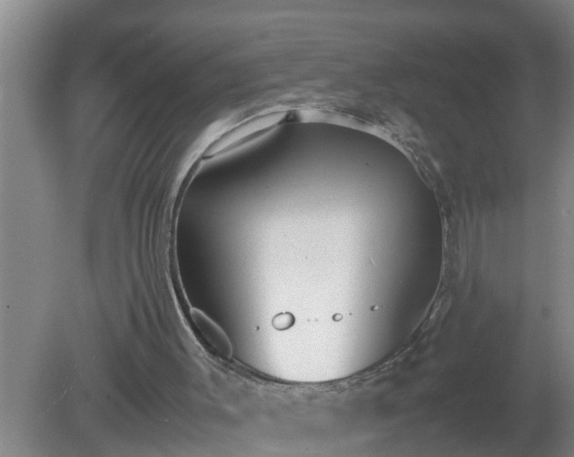 X0000080170003200612151934