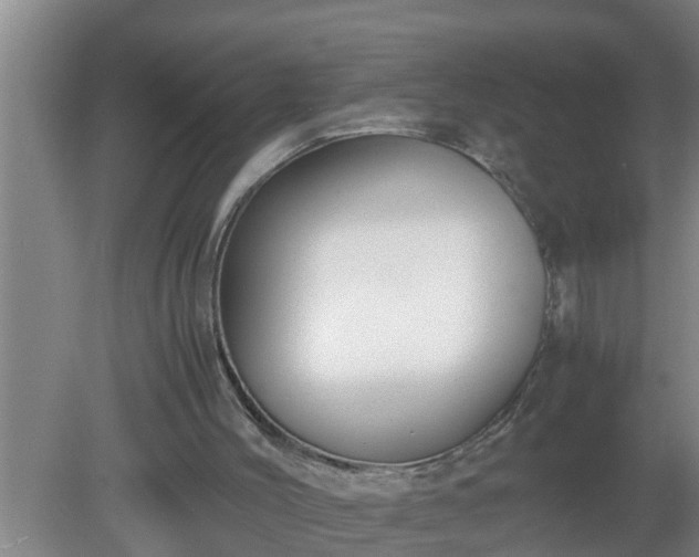 X0000080170004200612151934