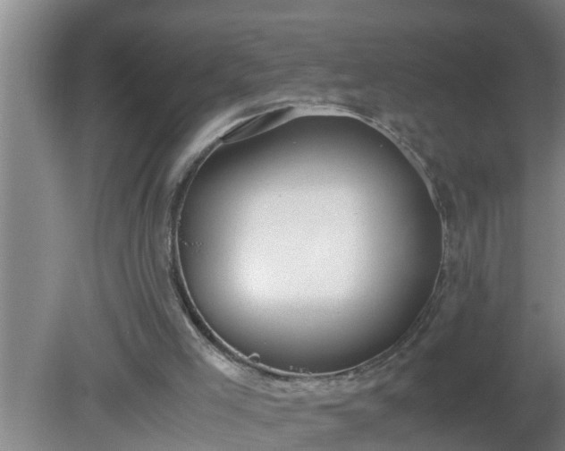 X0000080170005200612151934