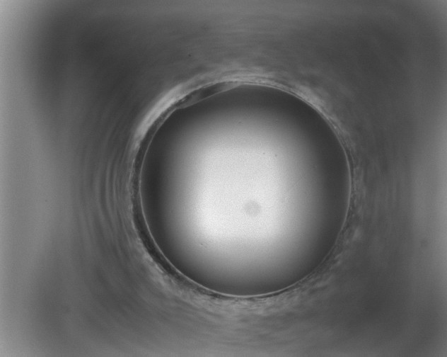 X0000080170007200612151934