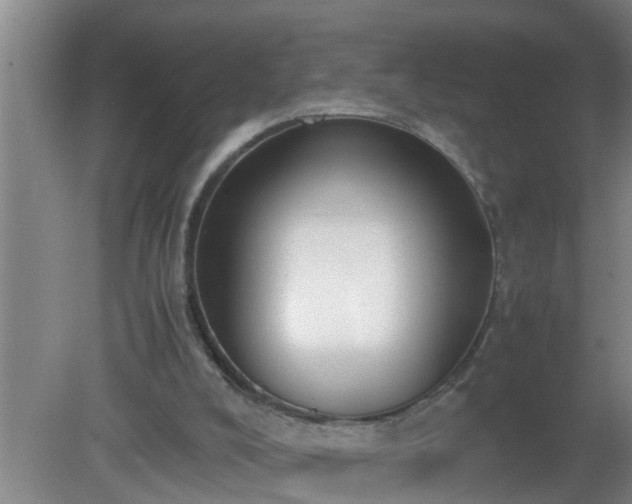 X0000080170008200612151934