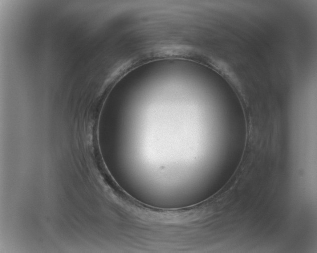 X0000080170010200612151934