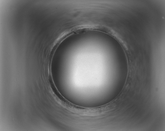 X0000080170011200612151934