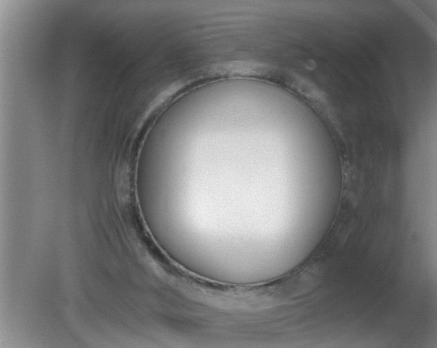 X0000080170012200612151934