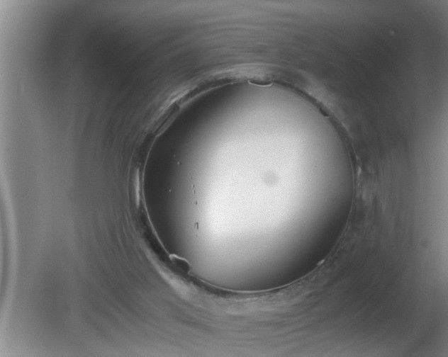 X0000080170013200612151934