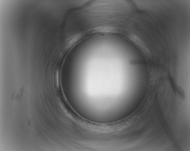 X0000080170014200612151934