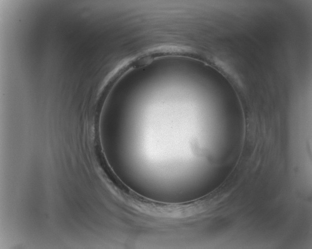 X0000080170015200612151934