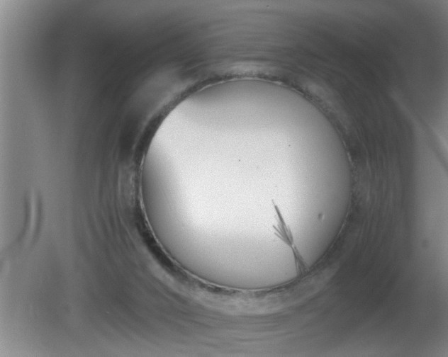 X0000080170016200612151934