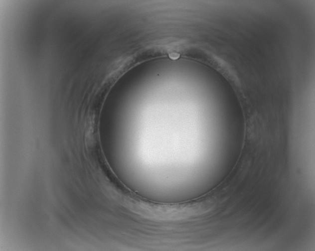 X0000080170018200612151934