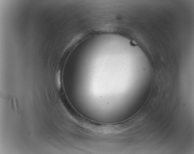 X0000080170020200612151934