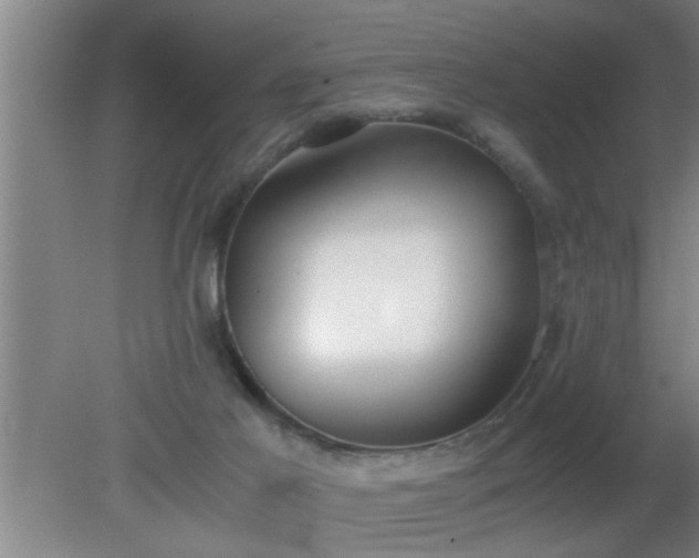 X0000080170021200612151934