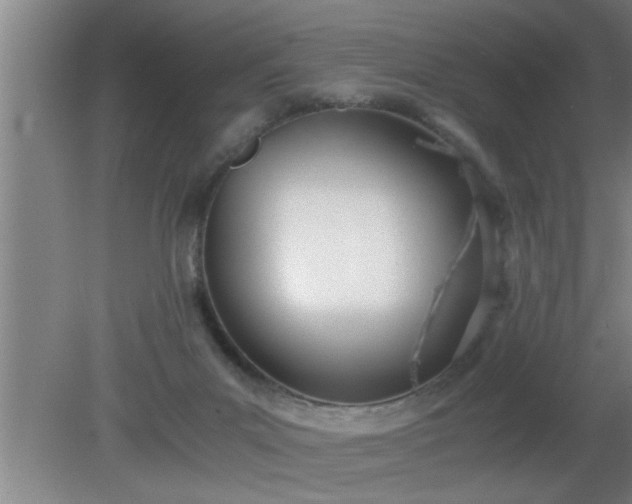 X0000080170023200612151934