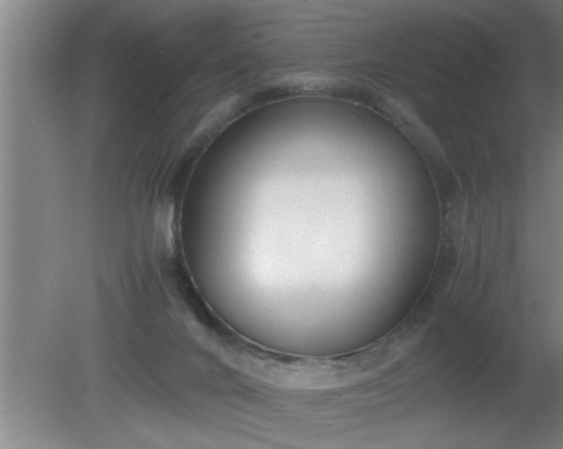 X0000080170024200612151934