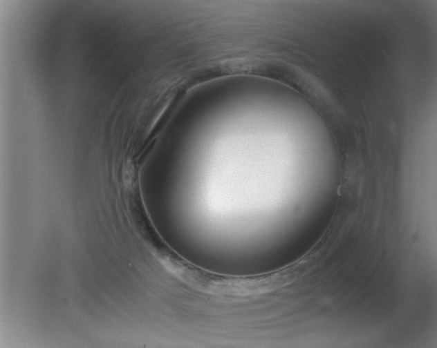 X0000080170025200612151934